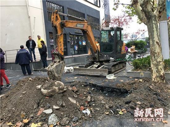 圖片說明：挖掘機現場作業 圖片均為新民晚報新民網陳浩攝